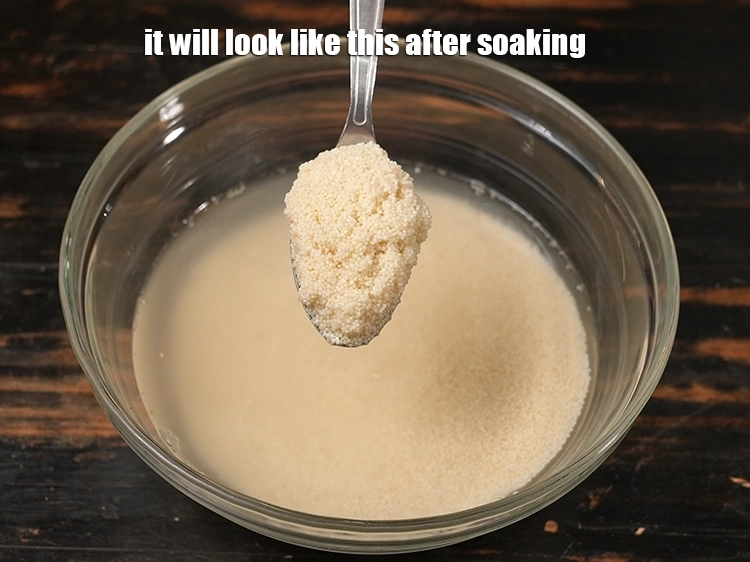 Step 3 – <p>પલાળ્યા પછી તે આના જેવું દેખાશે.</p>