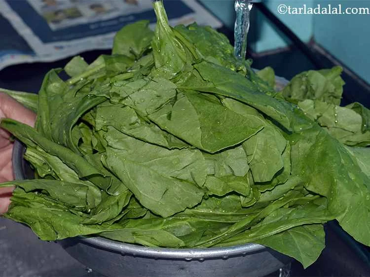 Step 2 – <p>કોઈપણ ગંદકી દૂર કરવા માટે પાલકના પાનને પાણીથી ધોઈ લો.</p>