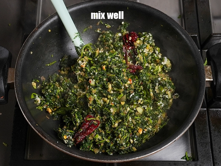 Step 18 – <p>સારી રીતે મિક્સ કરો.</p>