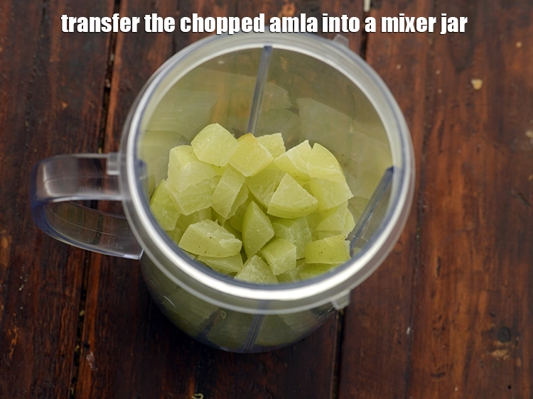 Step 12 – <p>સમારેલા આમળાને મિક્સર જારમાં નાખો. Transfer the chopped amla into a mixer jar.</p>