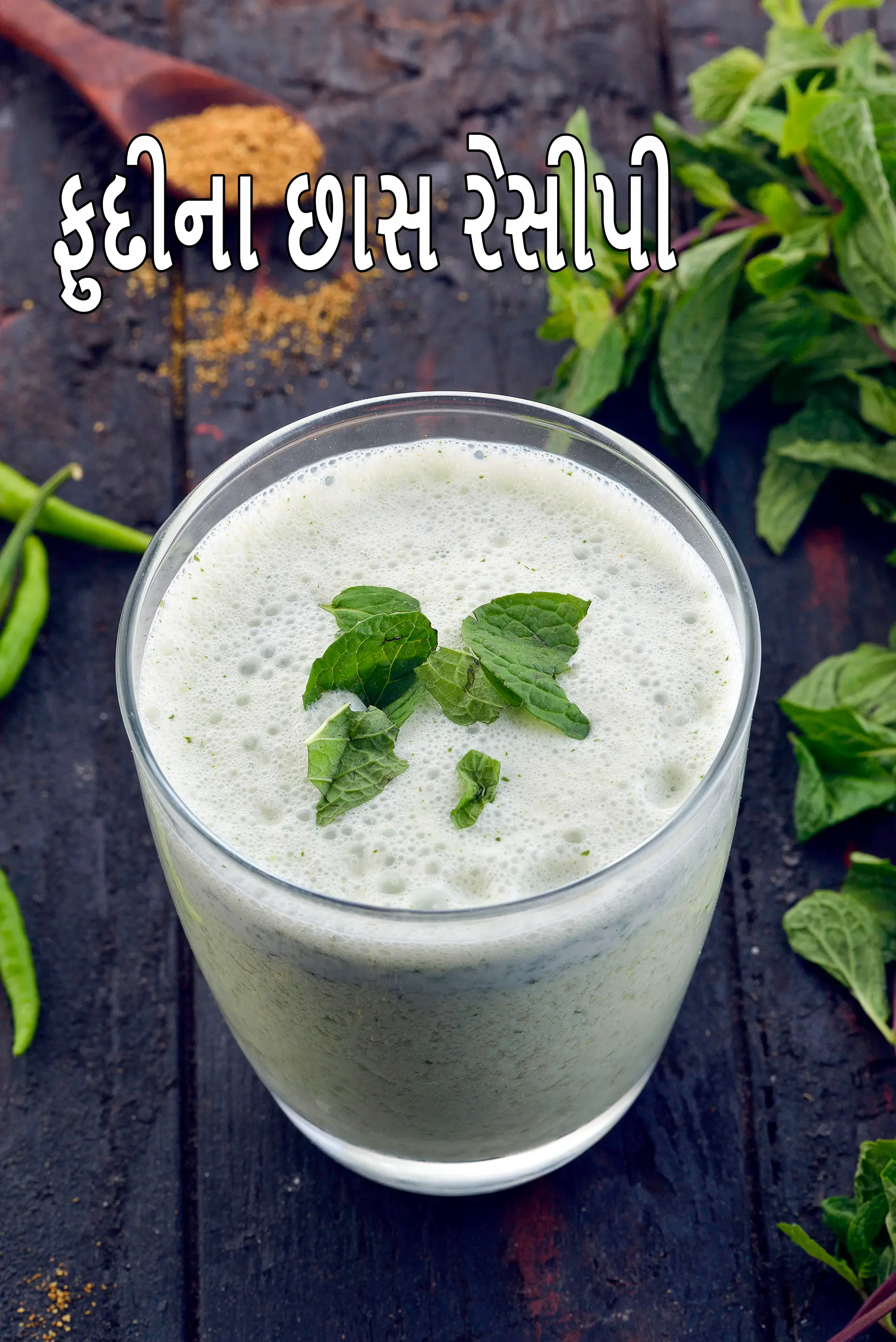 ફુદીના છાસ રેસીપી | મસાલેદાર પંજાબી ફુદીના છાસ | મસાલા છાશ |