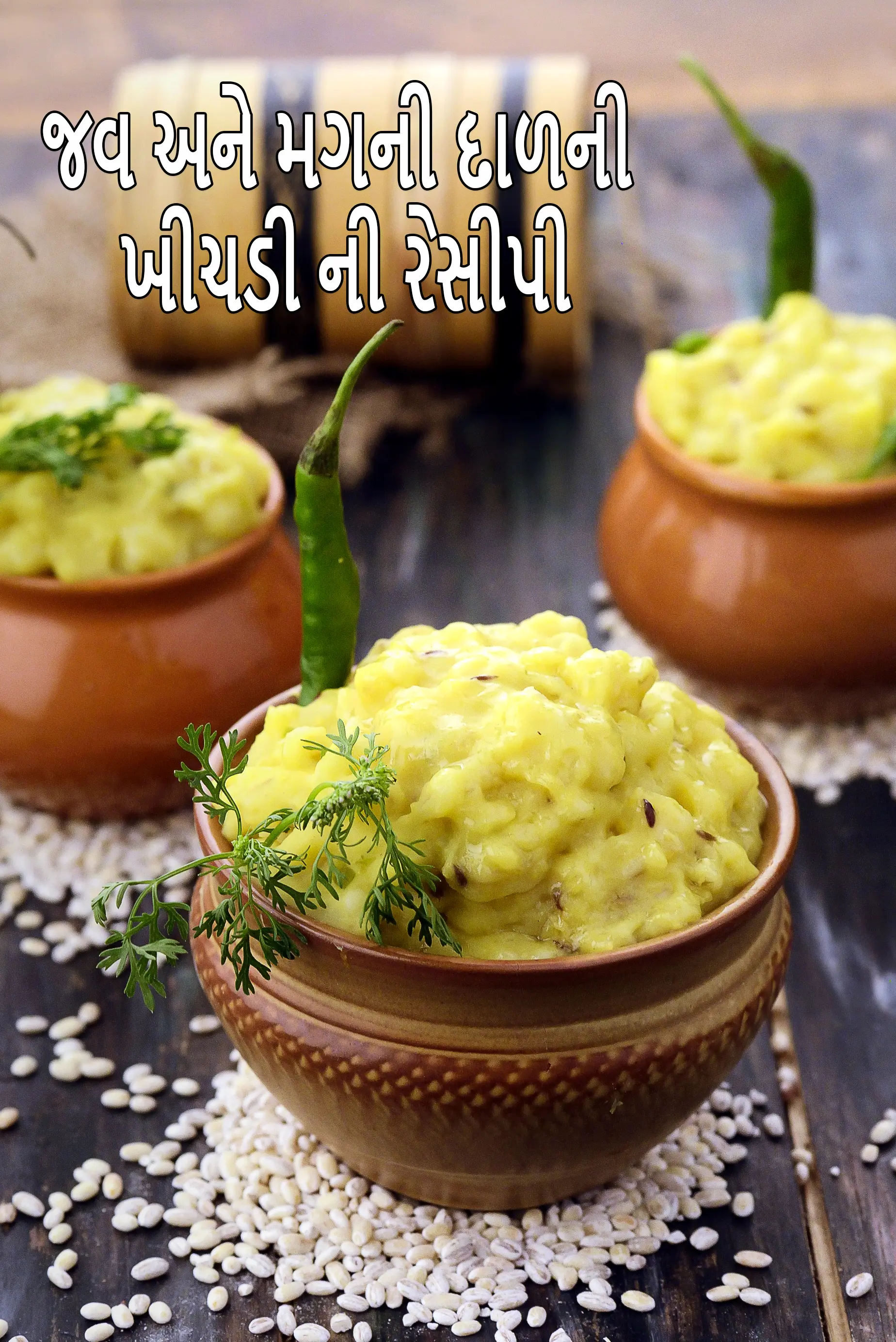 પ્રોટીનથી ભરપૂર જવ અને મગની દાળની ખીચડી રેસીપી | હેલ્ધી જવ પીળી મગની દાળ ખીચડી | જૌ દાળ ખીચડી |