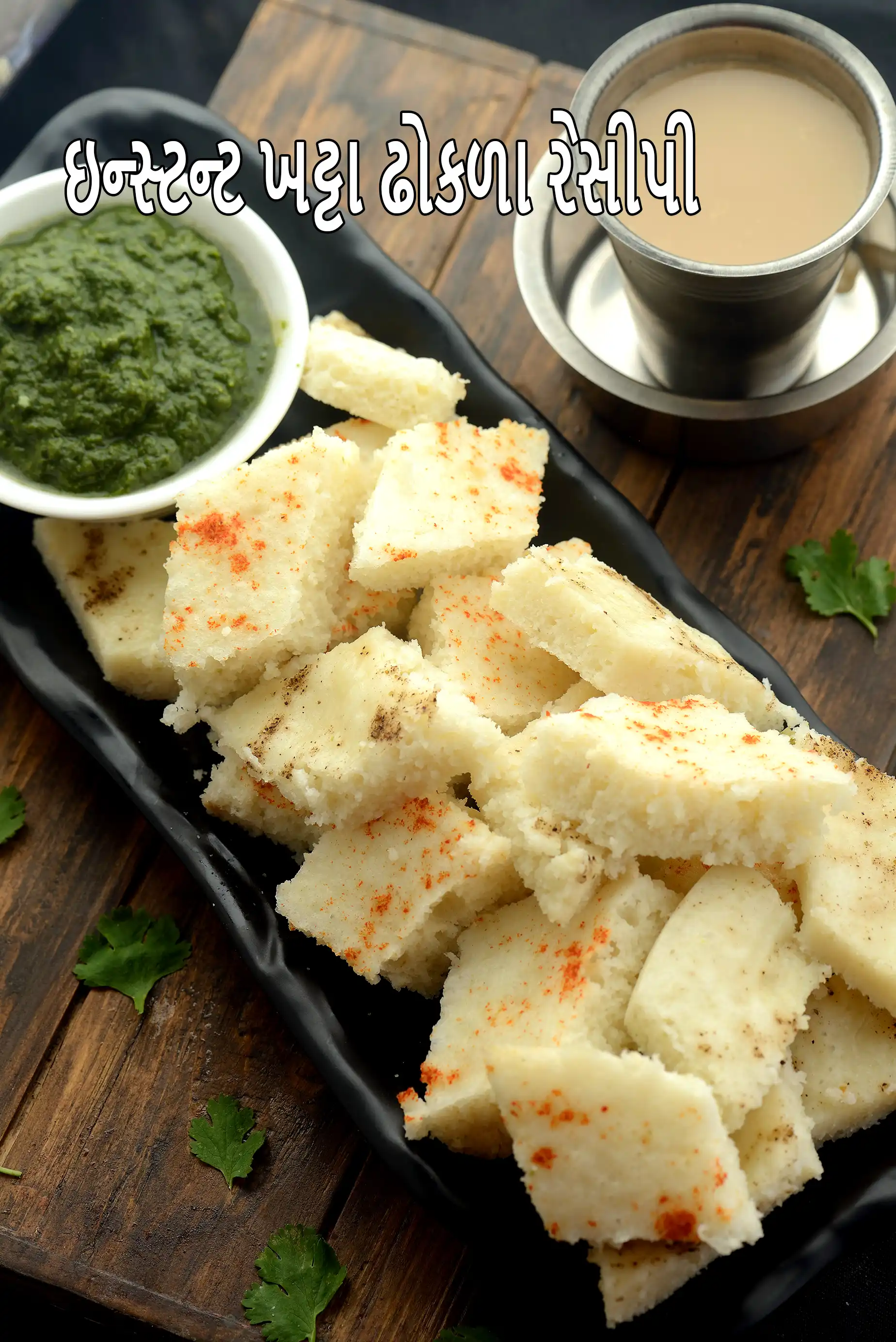 ઇન્સ્ટન્ટ ખટ્ટા ઢોકળા રેસીપી