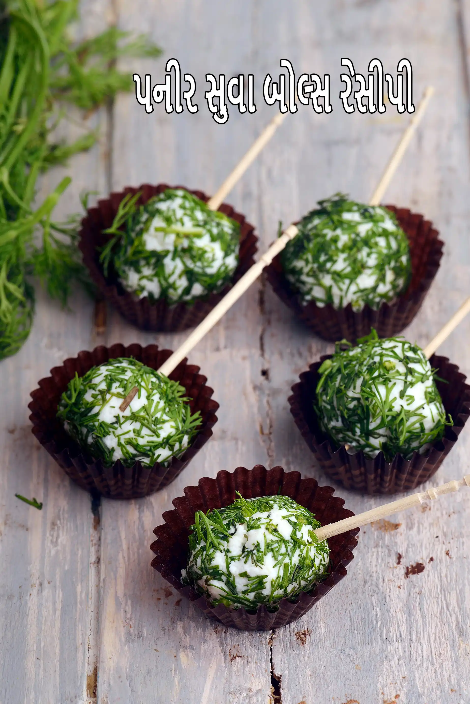 પનીર સુવા બોલ્સ રેસીપી | પનીર બોલ્સ રેસીપી | કોલ્ડ સ્ટાર્ટર | હેલ્ધી પનીર ભારતીય નાસ્તો | 5 મિનિટ ભારતીય પનીર રેસીપી |