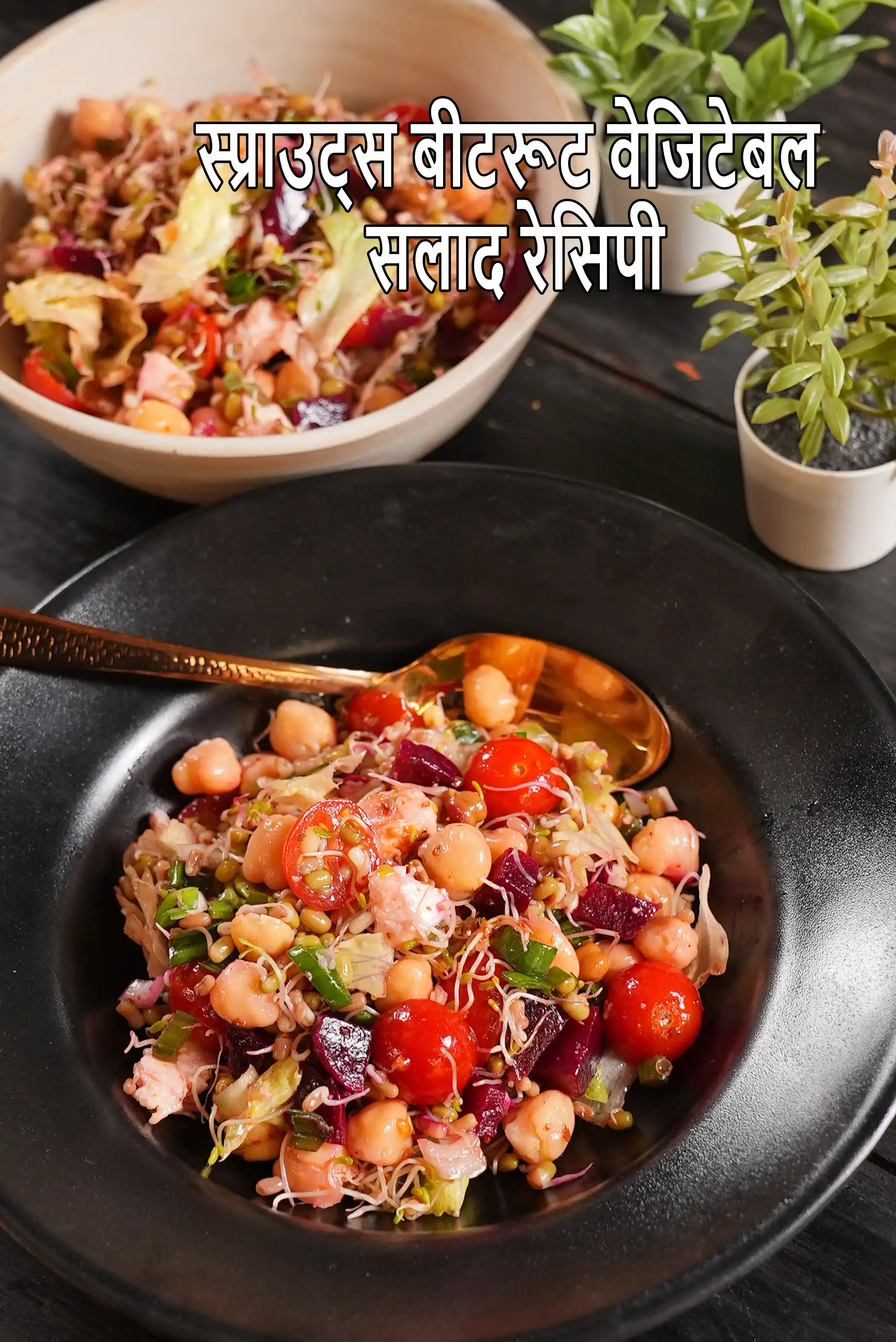 स्प्राउट्स बीटरूट वेजिटेबल सलाद रेसिपी