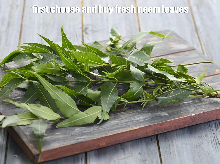 स्टेप 1 – <p><strong>नीम का जूस रेसिपी&nbsp;</strong>बनाने के लिए | <strong>नीम का रस …