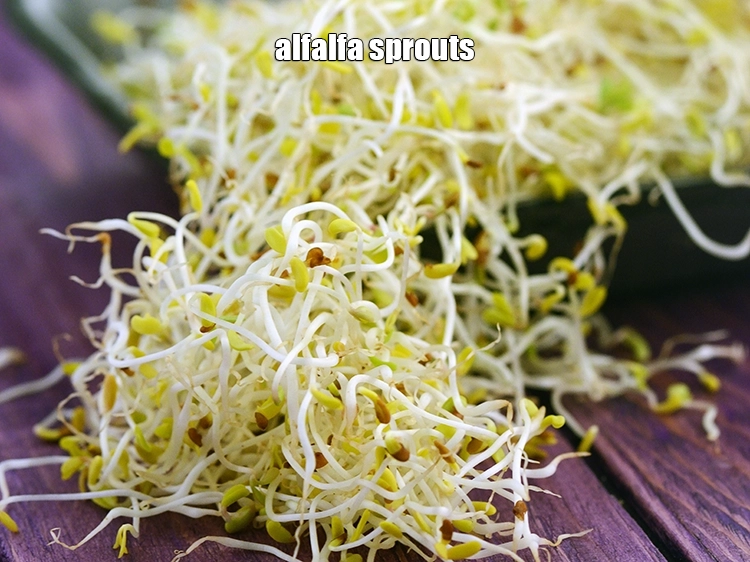 स्टेप 1 – <p><strong>वजन पर नज़र रखने वालों के लिए अल्फाल्फा</strong>: ये स्प्राउट्स …