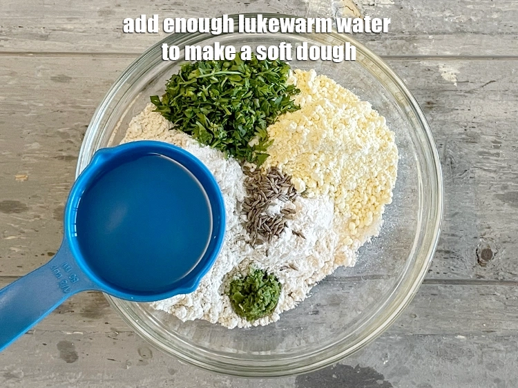 स्टेप 10 – <p>नरम आटा बनाने के लिए पर्याप्त <strong>गुनगुना पानी</strong> डालें। हमने …