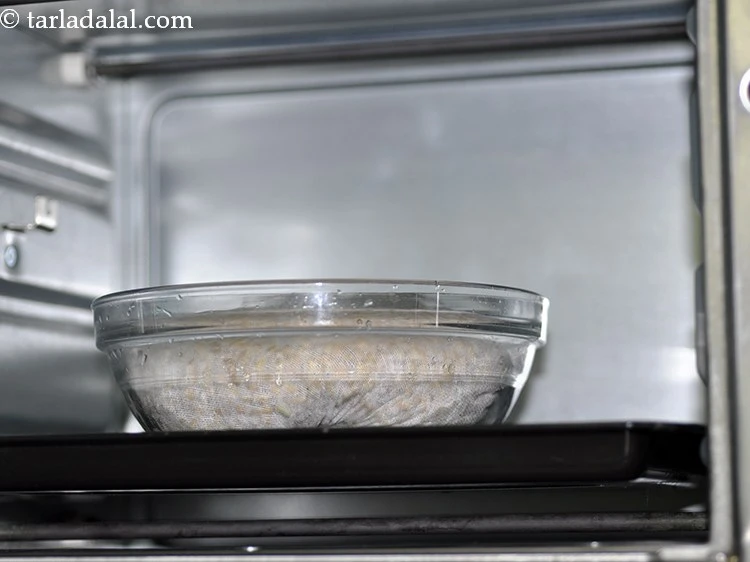 स्टेप 13 – <p>इसे अंकुरित होने के लिए लगभग 10 से 12 घंटे …