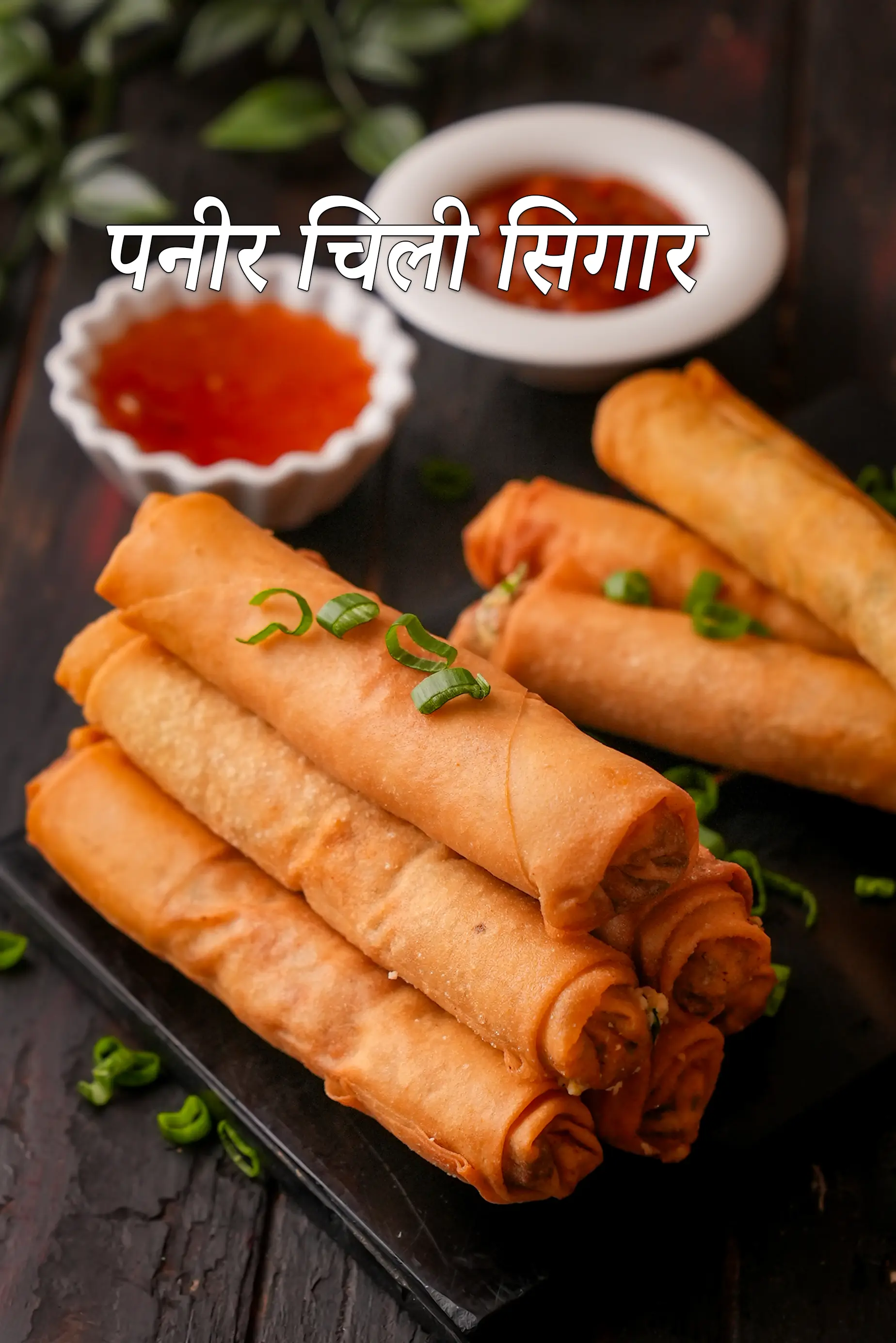 पनीर चिली सिगार रेसिपी | चिली पनीर सिगार कैसे बनाएं | इंडो-चायनीज़ स्नैक्स | पनीर स्नैक्स |