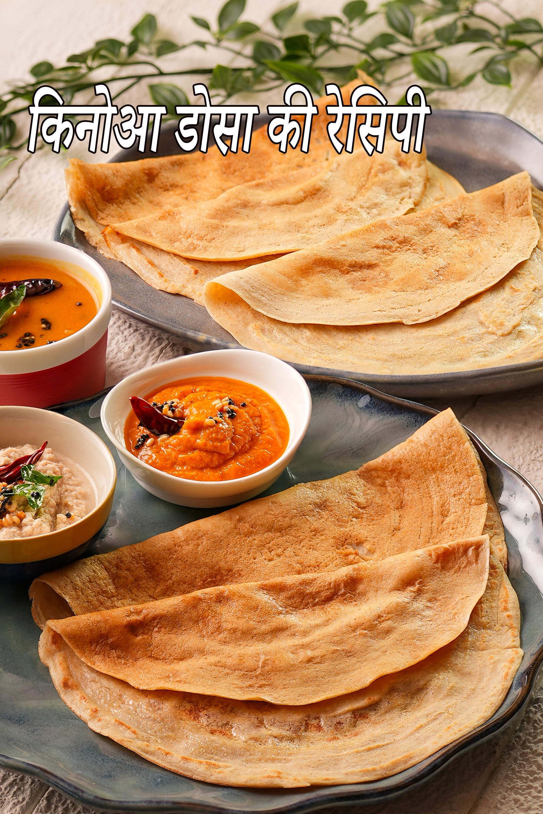 किनोआ डोसा की रेसिपी | हेल्दी डोसा | quinoa dosa in hindi |