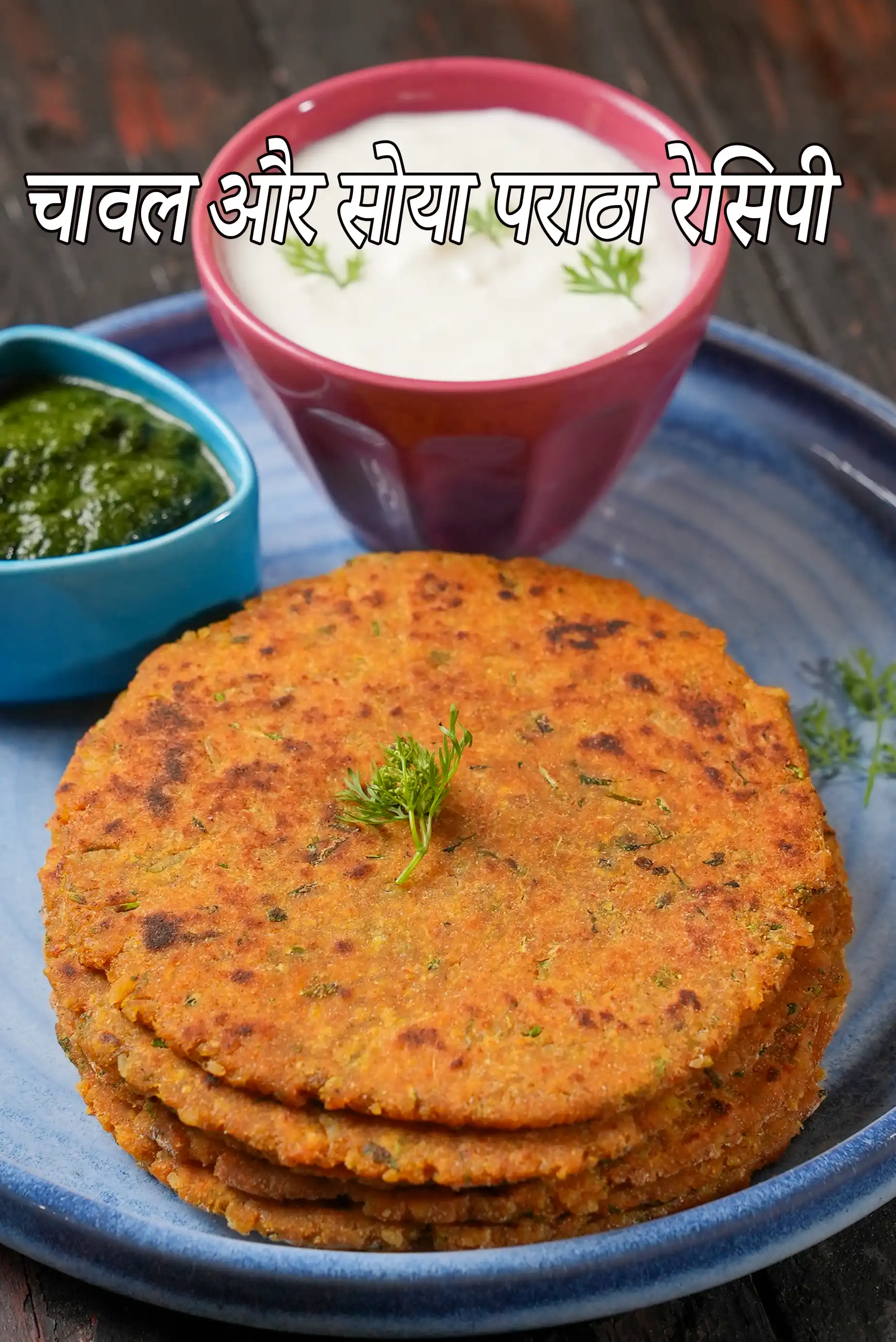 चावल और सोया पराठा रेसिपी | प्रोटीन से भरपूर सोया पराठा | बचा हुआ चावल और सोया पराठा |