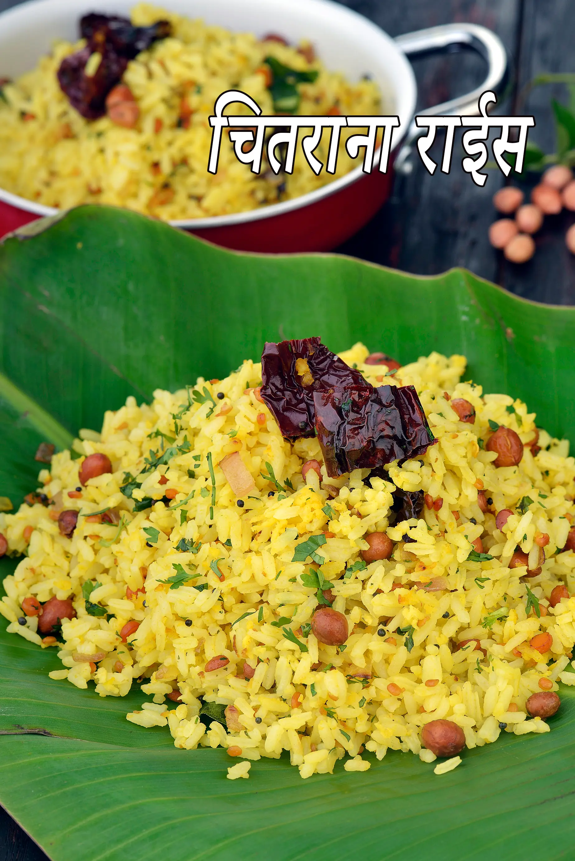 चितराना राईस रेसिपी, Chitranna Rice ( South Indian Recipes ) In Hindi