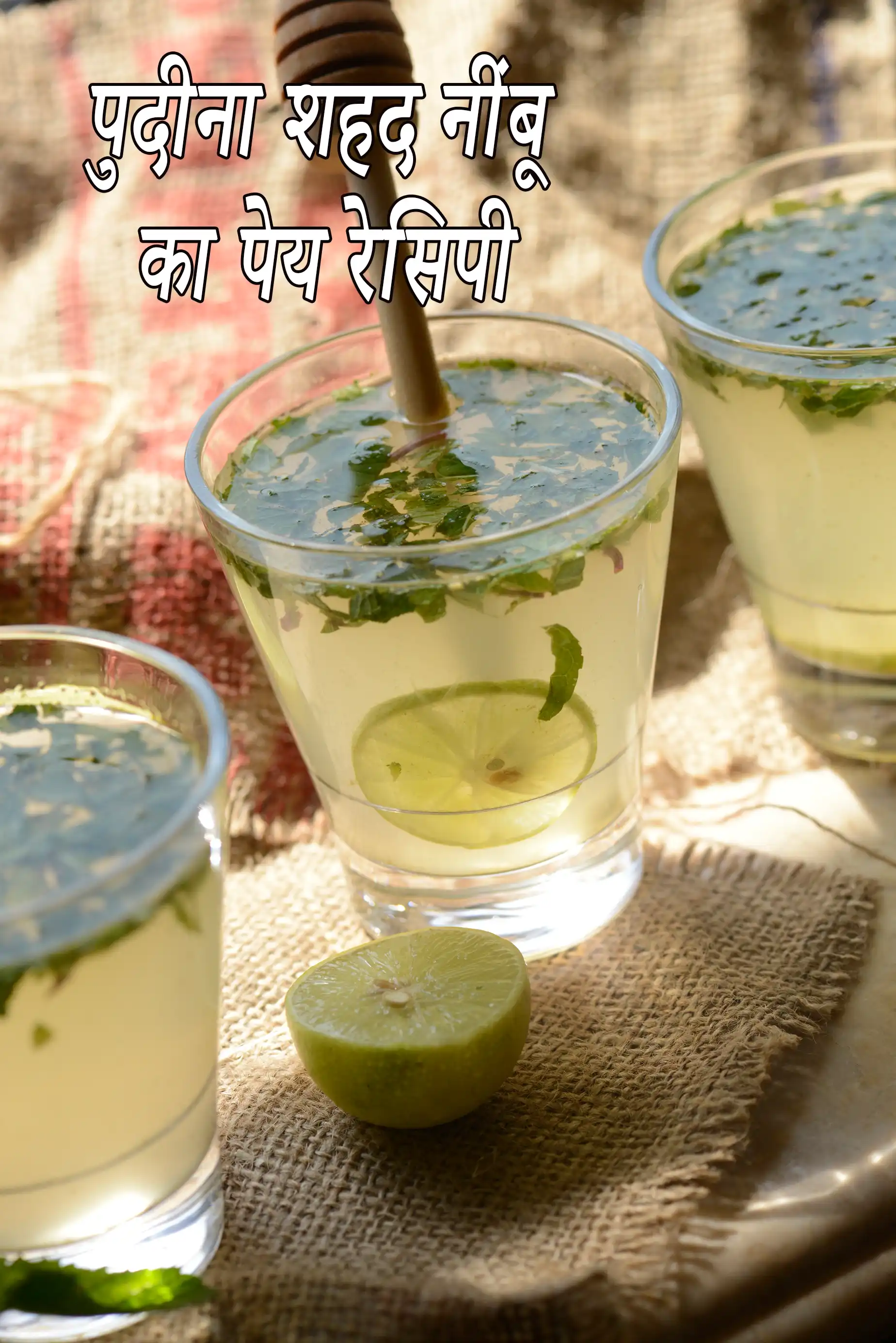 पुदीना शहद नींबू का पेय रेसिपी | नींबू और शहद का पानी | mint honey lemon drink in Hindi |