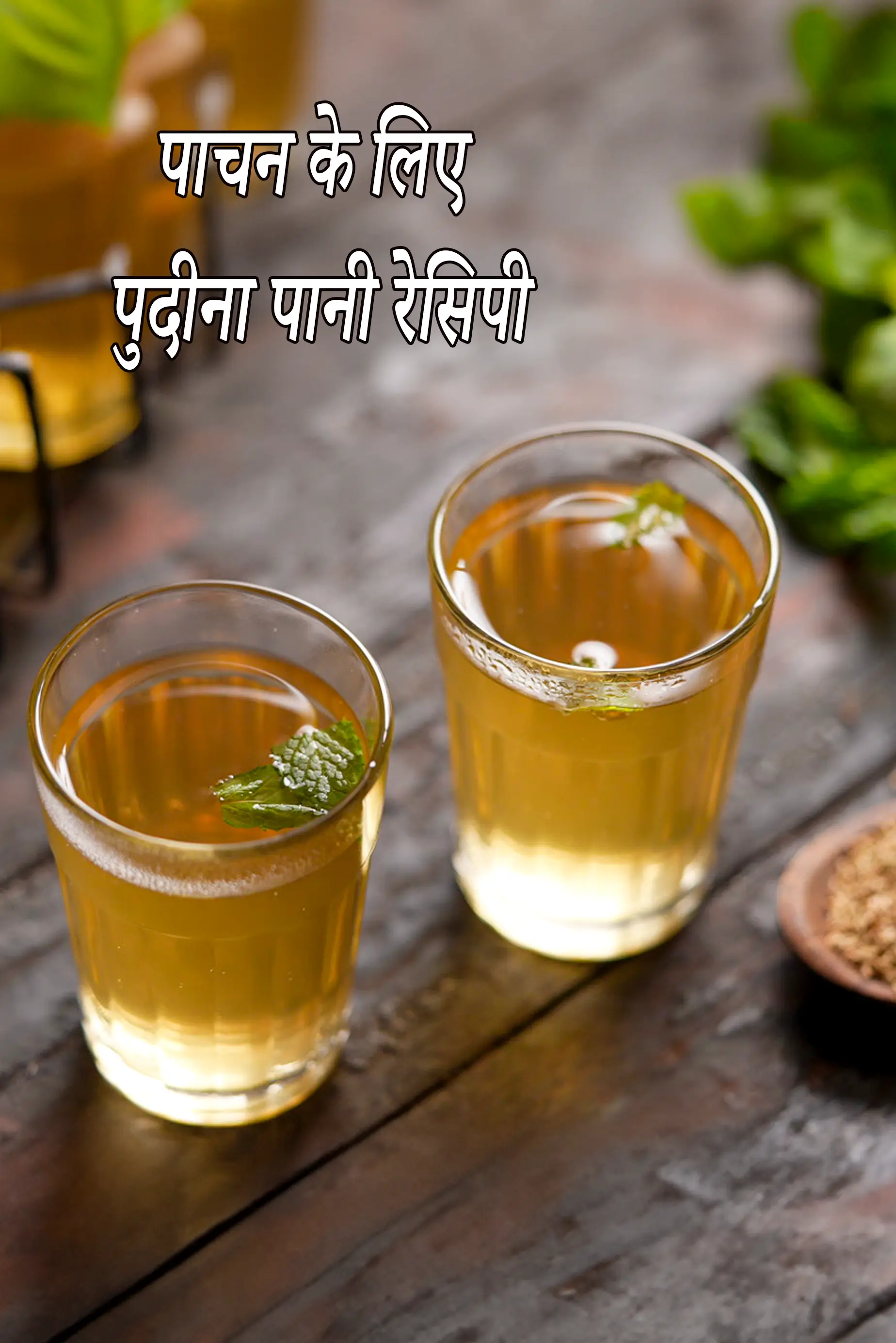 पाचन के लिए पुदीना पानी रेसिपी | वजन घटाने के लिए पुदीना पानी | pudina drink to overcome indigestion in hindi |