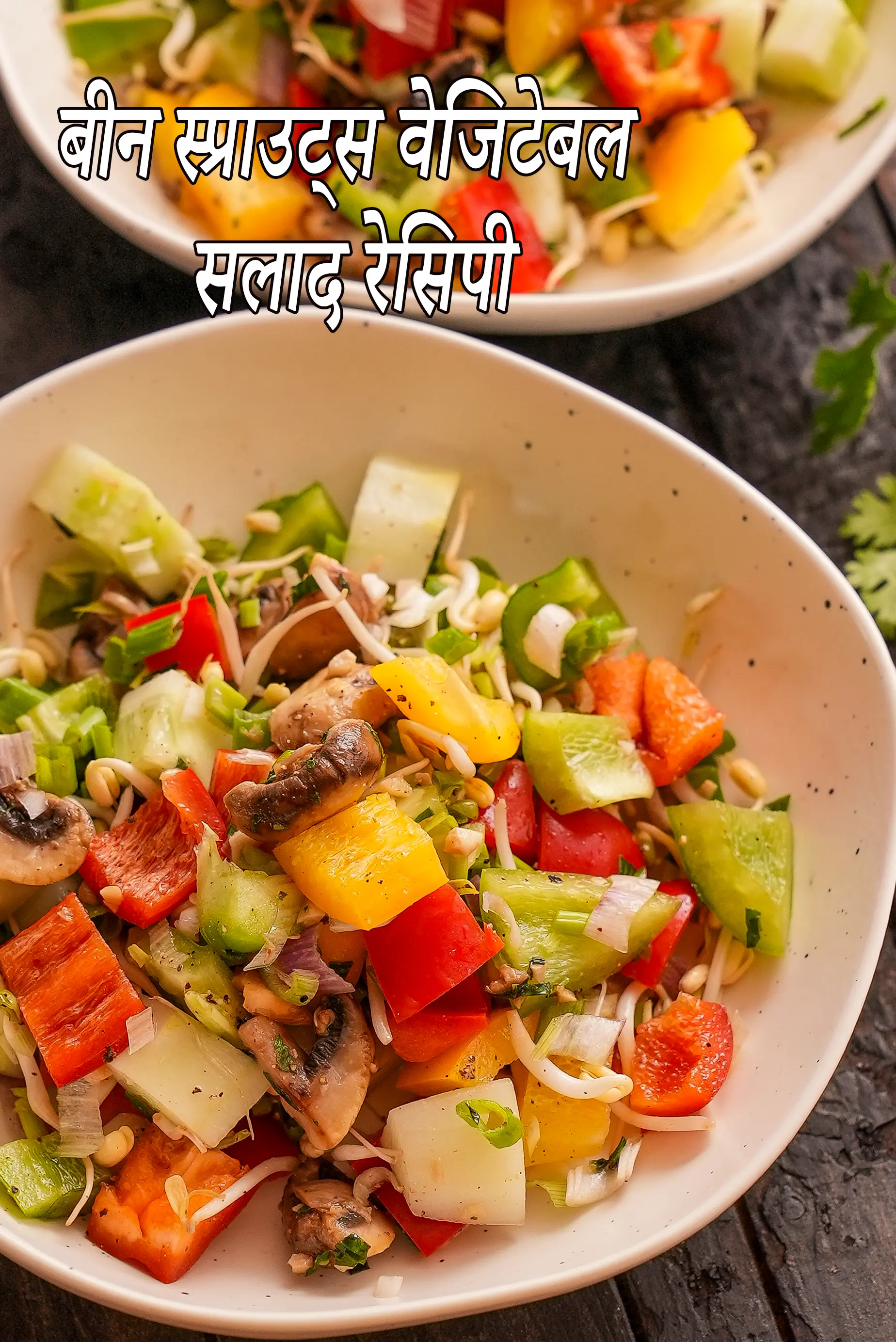 बीन स्प्राउट्स वेजिटेबल सलाद रेसिपी | बीन स्प्राउट्स बेसिल और कैप्सिकम सलाद | हेल्दी बीन स्प्राउट्स मशरूम और खीरे का सलाद |  bean sprouts vegetable salad recipe in Hindi |