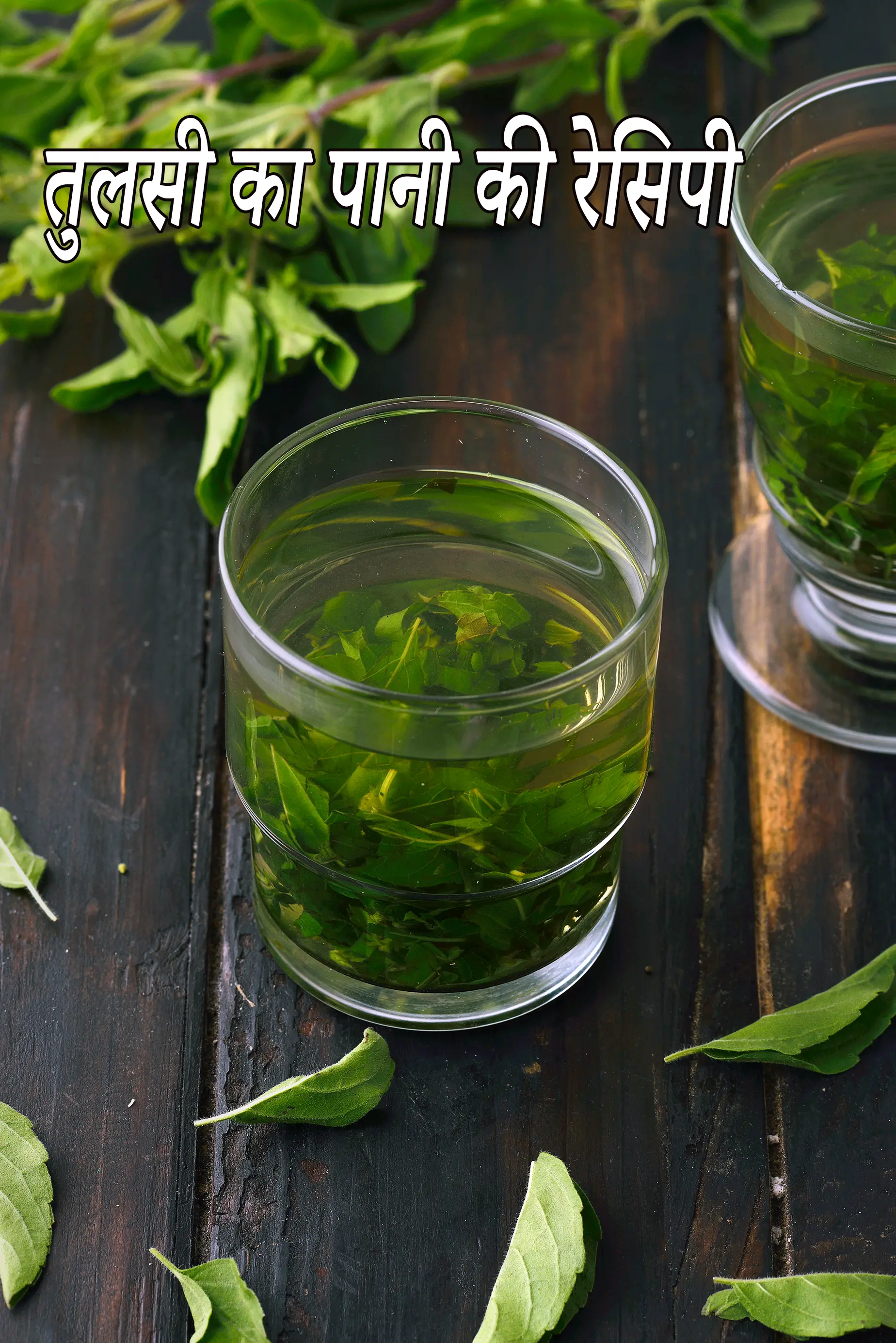 तुलसी का पानी की रेसिपी | तुलसी के पानी के फायदे | पवित्र तुलसी का पानी | भारतीय तुलसी का पानी |