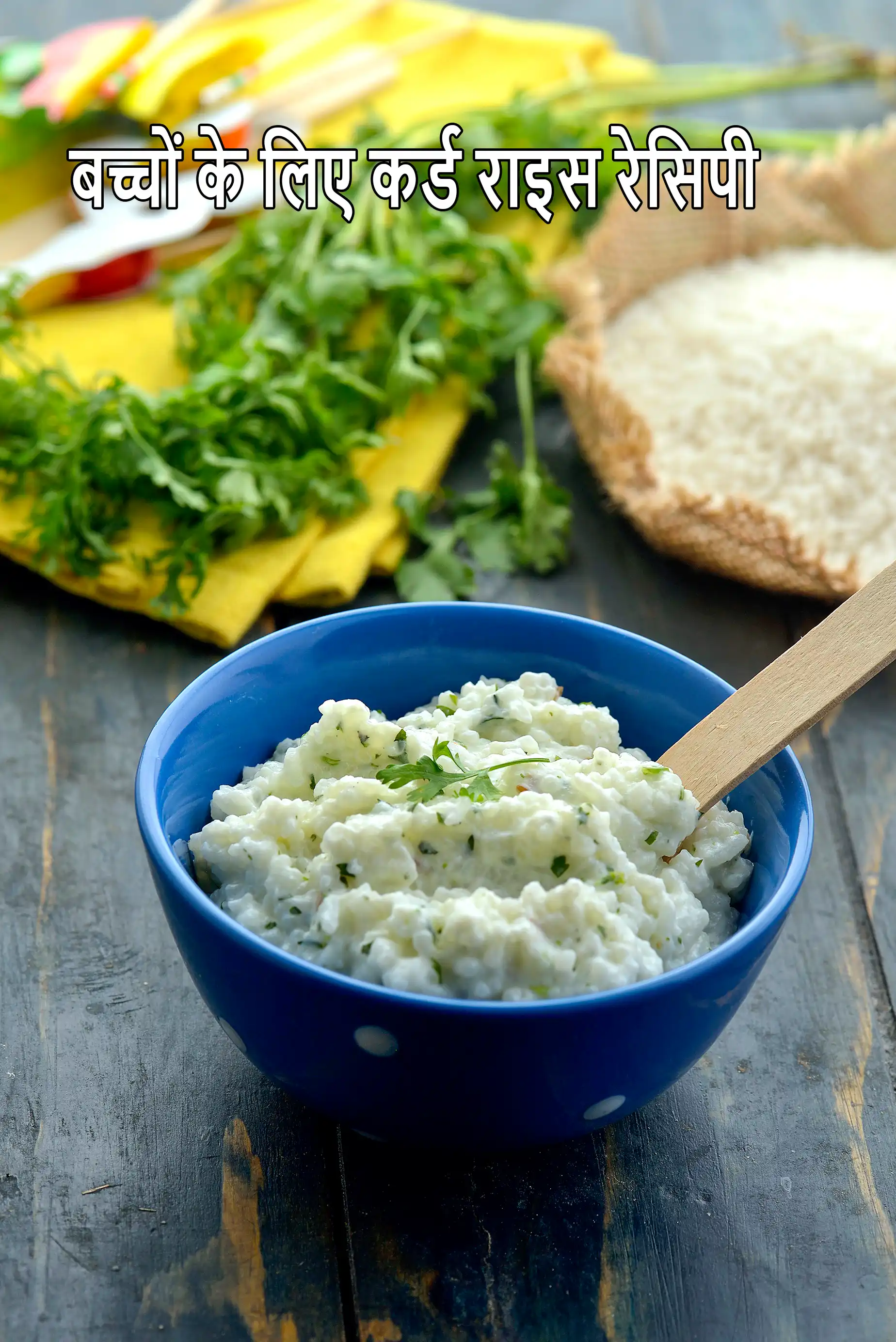बच्चों के लिए कर्ड राइस रेसिपी   Curd Rice ( Baby and Toddler) Recipe In Hindi