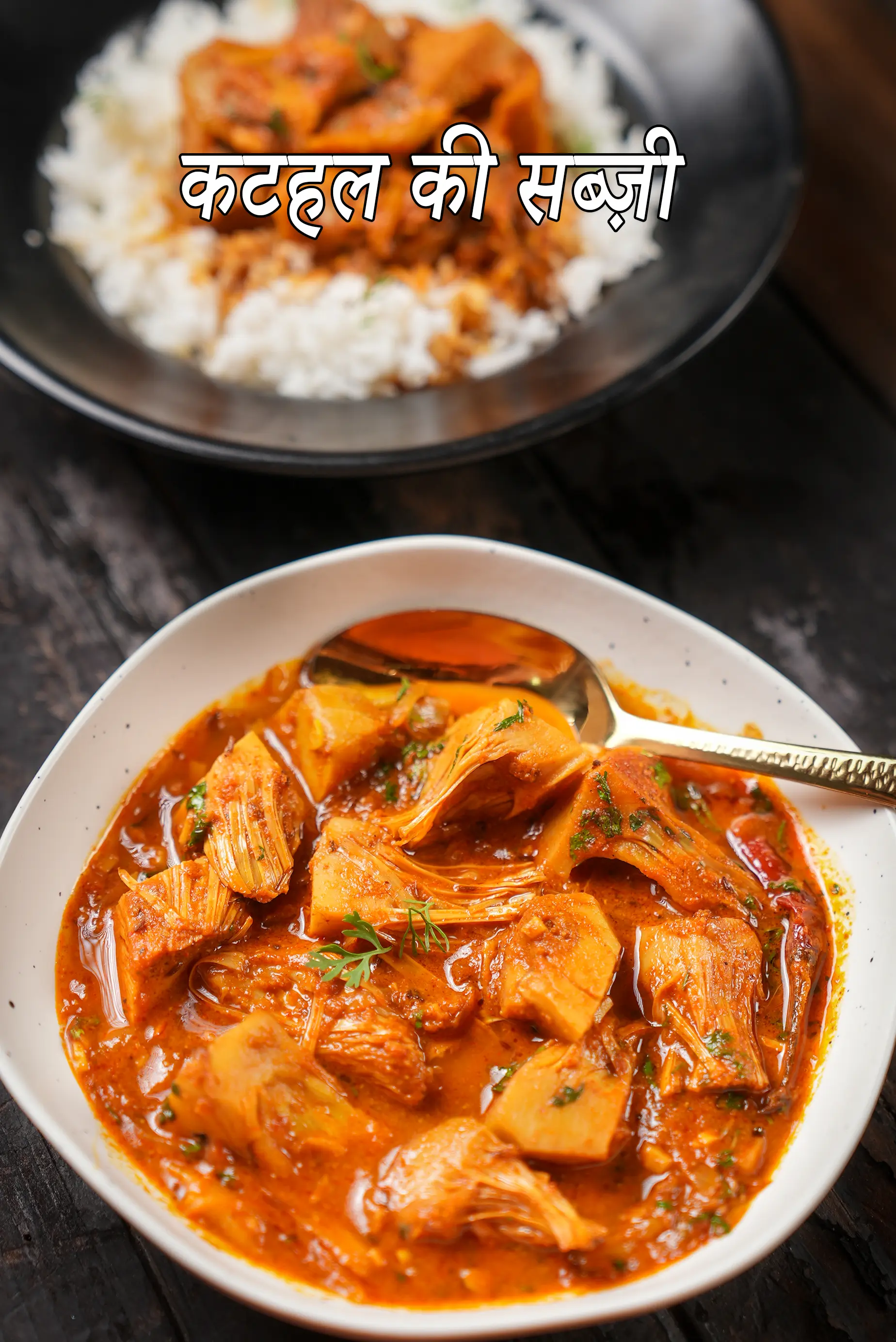 कटहल की सब्ज़ी रेसिपी | जैकफ्रूट करी | कटहल मसाला | kathal ki sabzi recipe in Hindi |