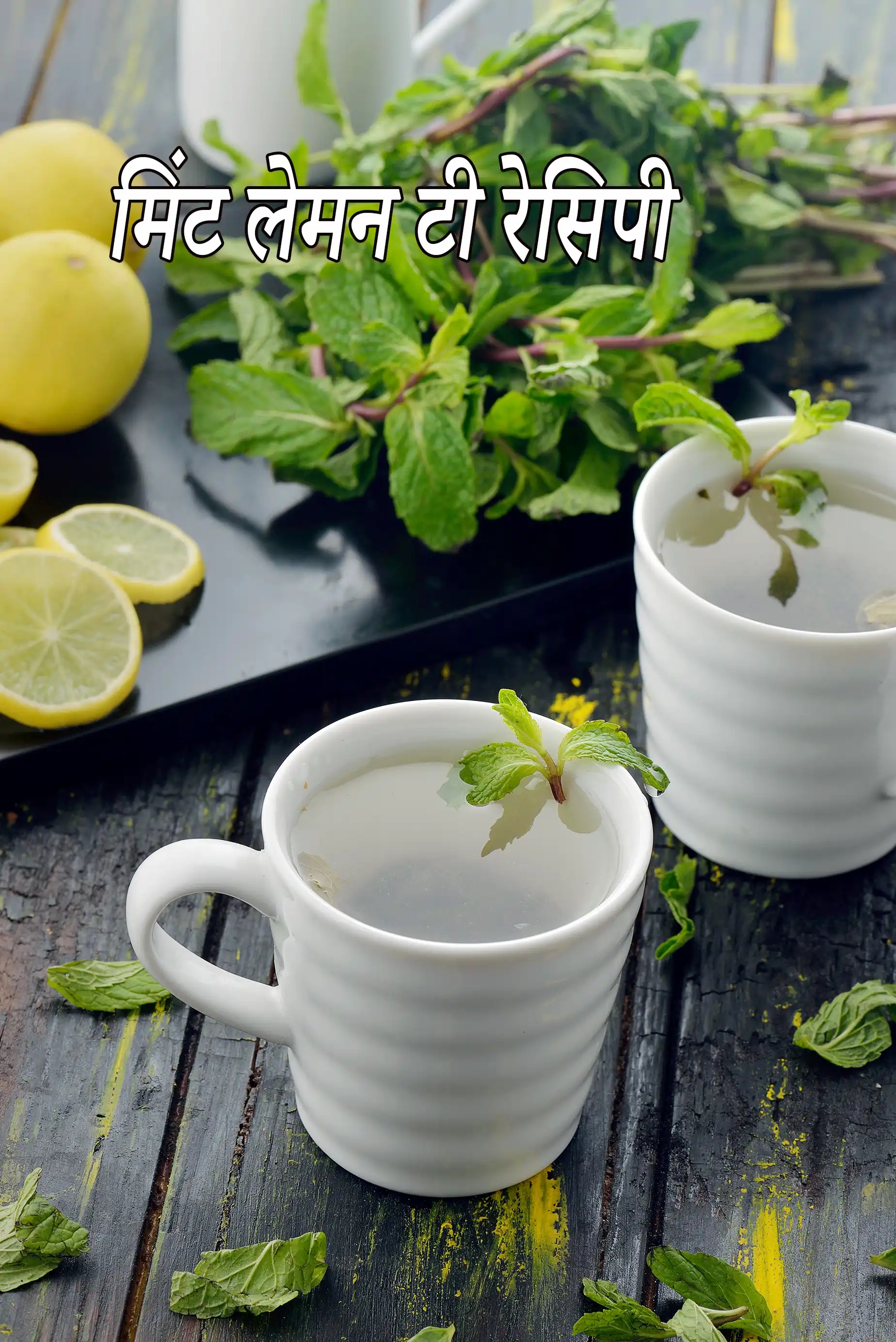 मिंट लेमन टी रेसिपी | डिटॉक्स लेमन मिंट ड्रिंक | पुदीना नींबू की चाय | नींबू पुदीना की चाय
