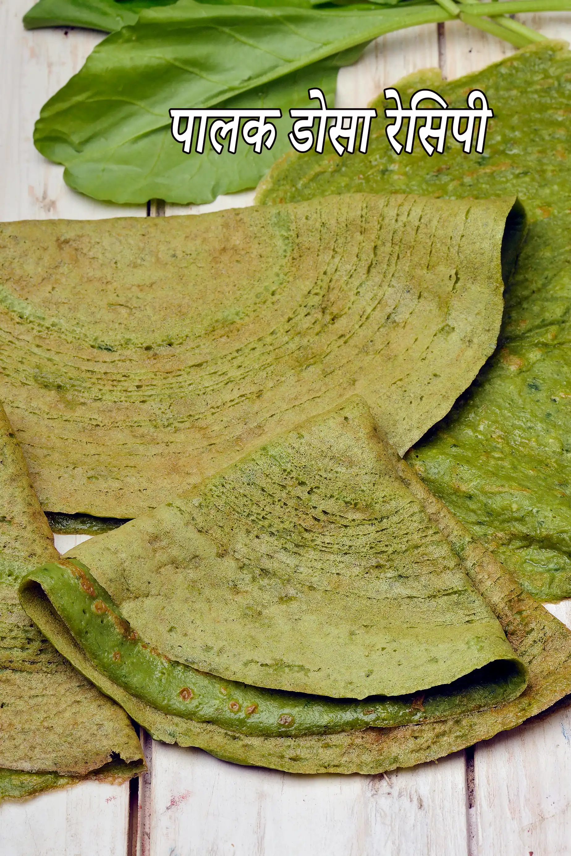 पालक डोसा रेसिपी | स्पिनेच डोसा | कीरई दोसाई | spinach dosa in Hindi |