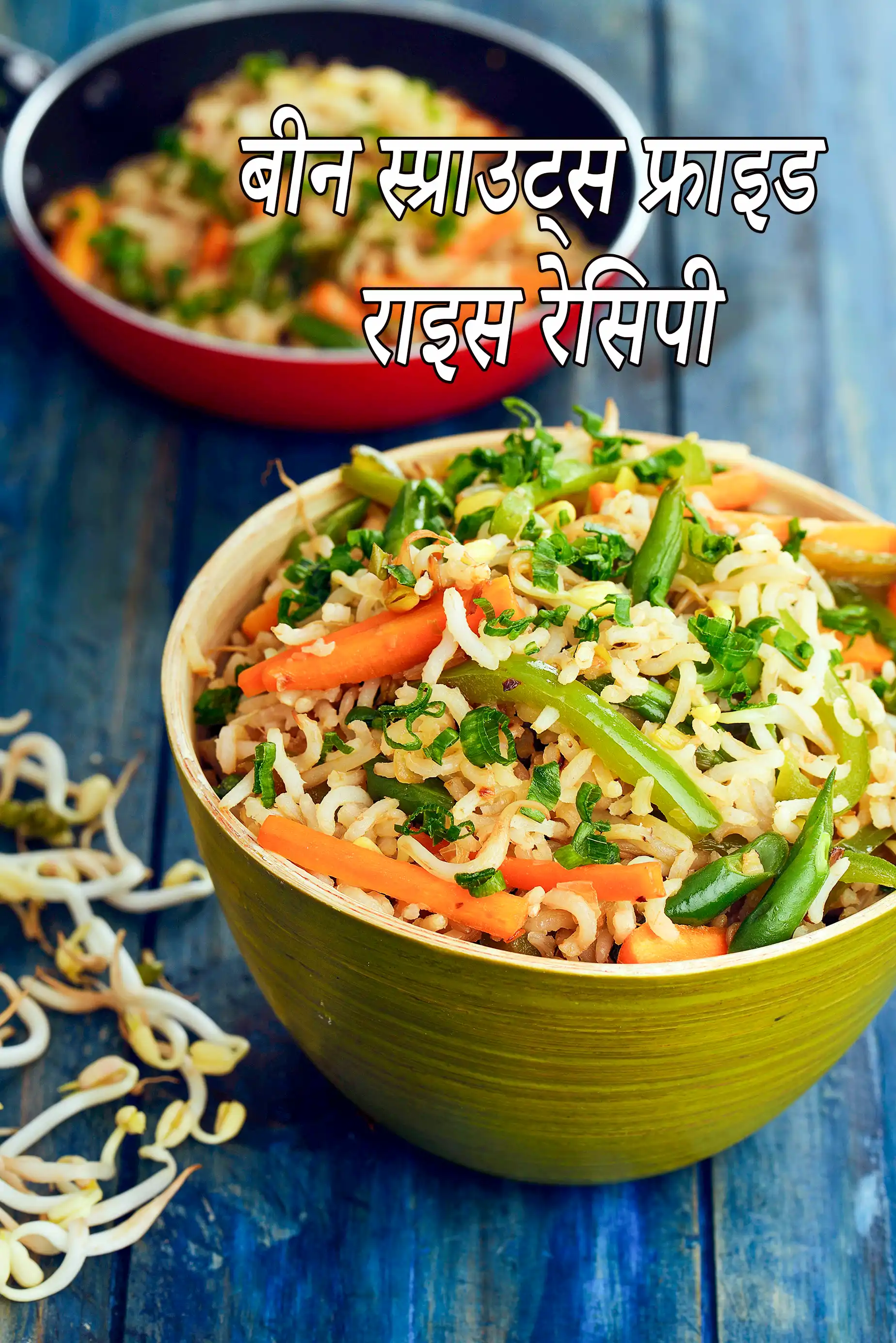 चाइनीज स्प्राउट्स फ्राइड राइस रेसिपी | चाईनीज फ्राइड राइस | bean sprouts fried rice in hindi.