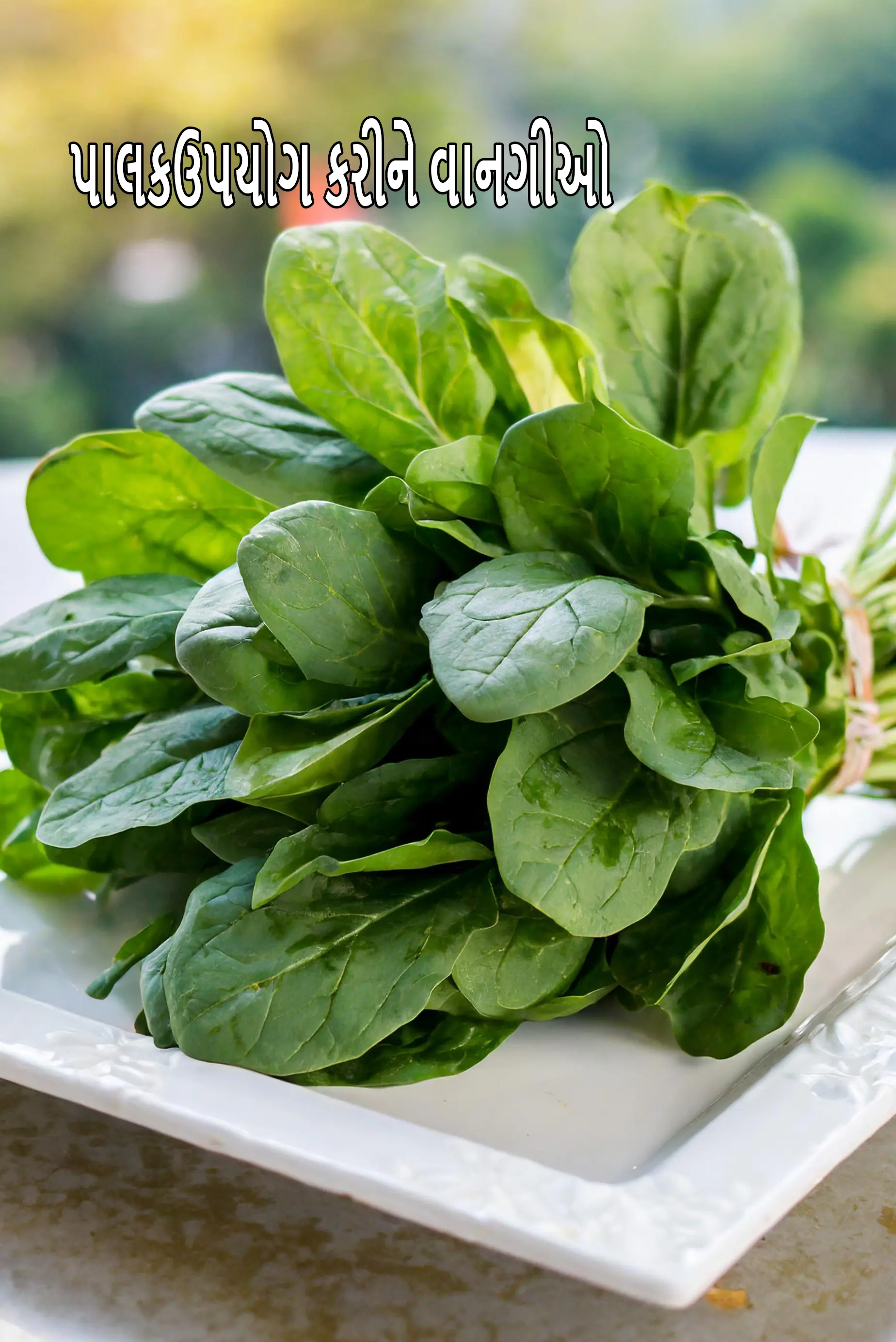 Recipes using  spinach