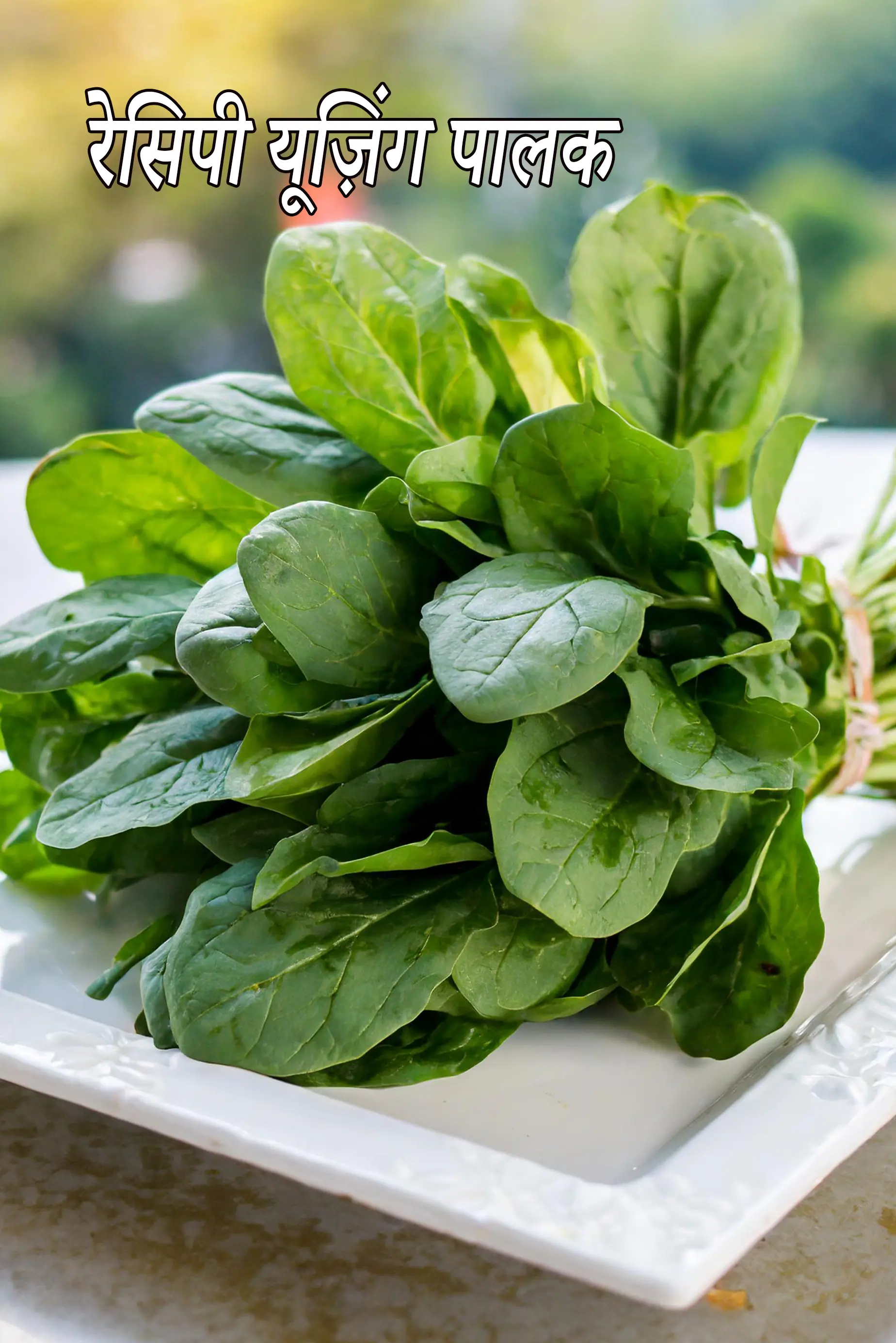 Recipes using  spinach