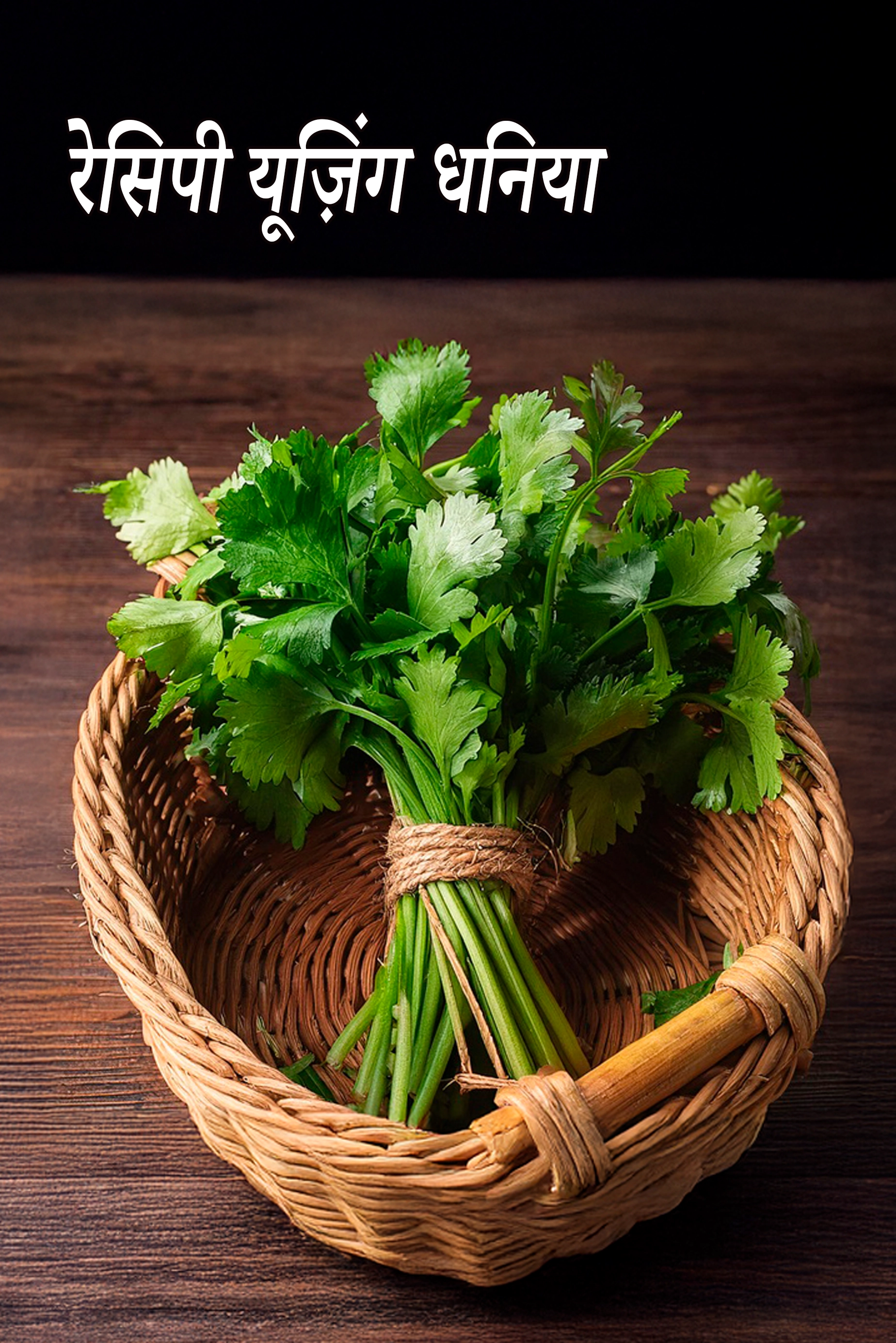 Recipes using  coriander