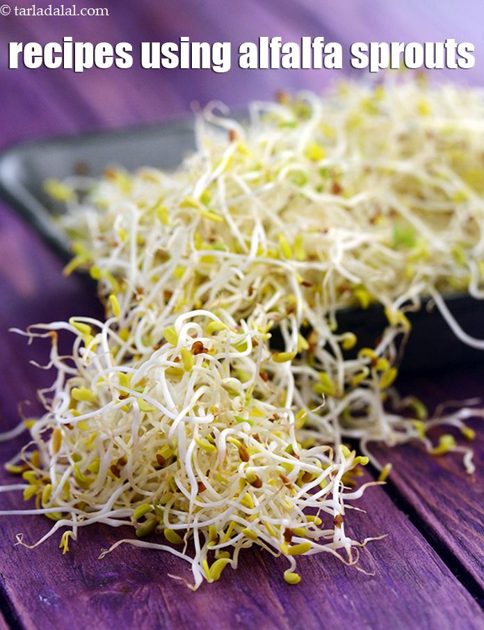 Recipes using alfalfa sprouts