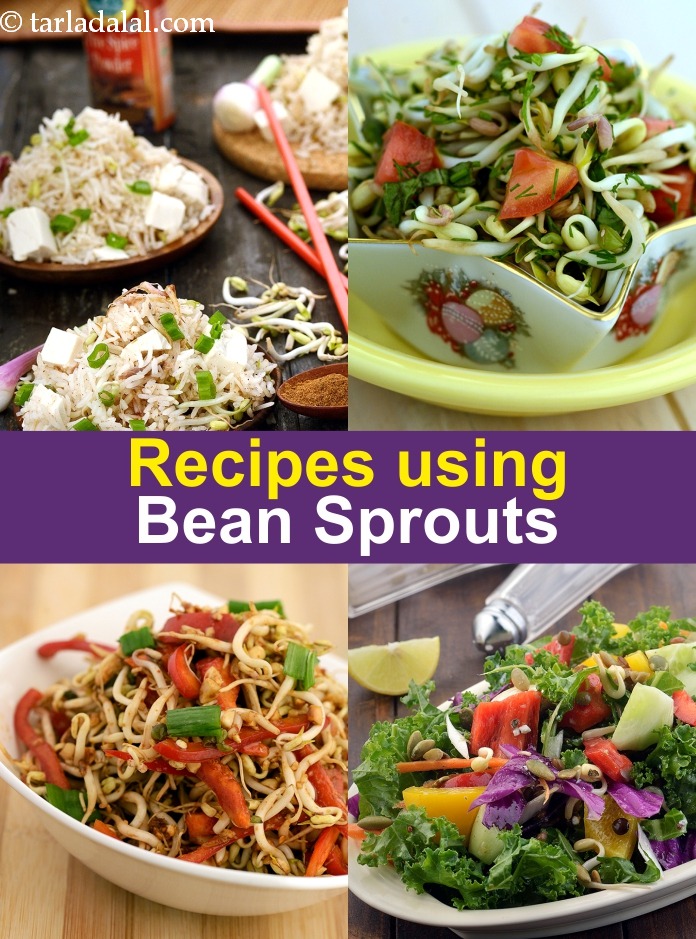 Recipes using  bean sprouts
