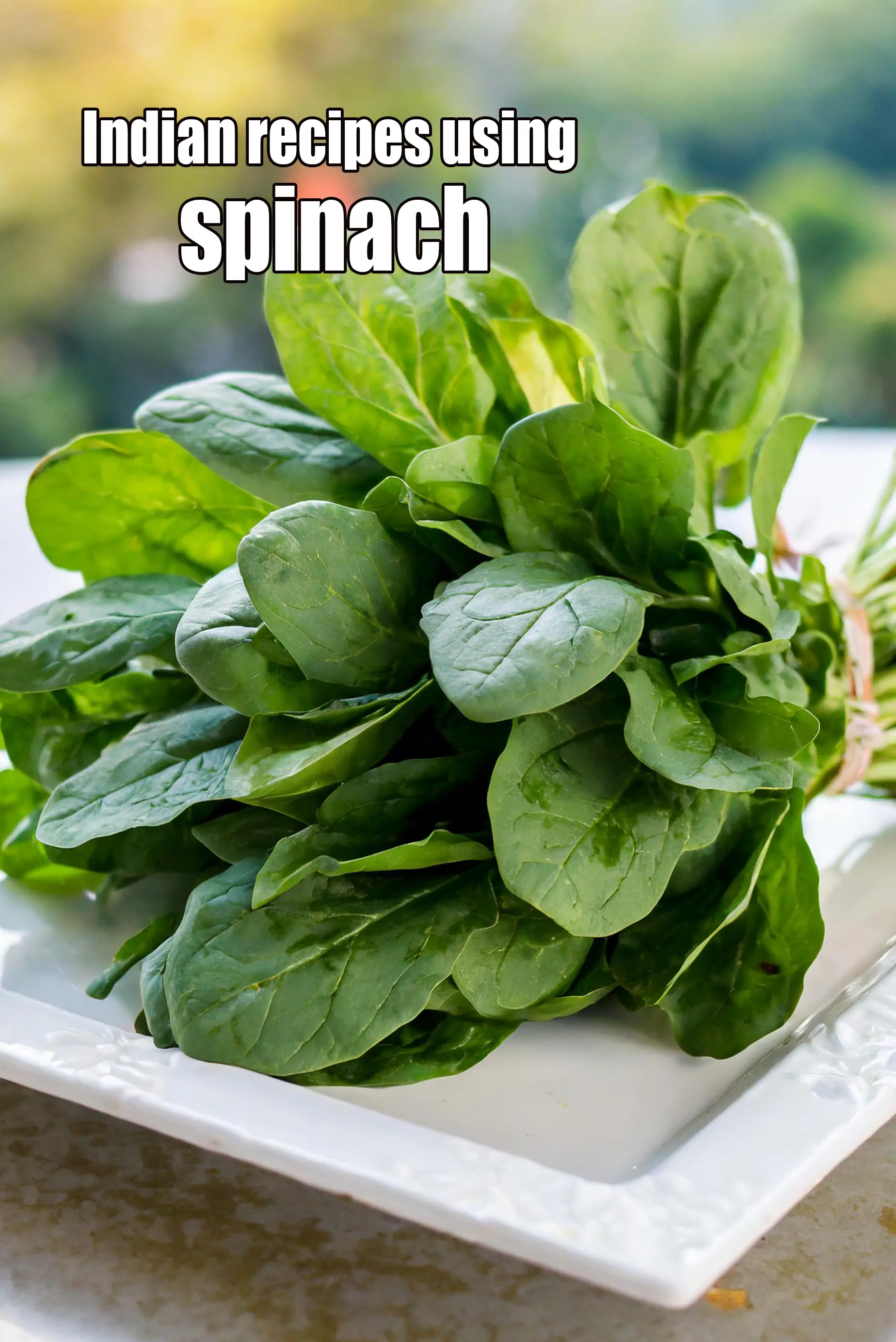 Recipes using  spinach