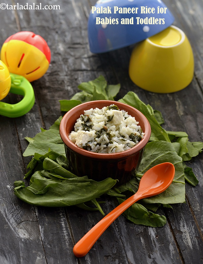 Palak Paneer Rice for Babies and Toddlers