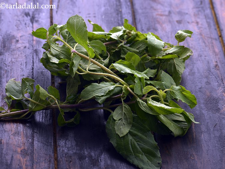 tulsi tea Indian basil tea tulsi tea for sore throat tulsi tea for weight loss